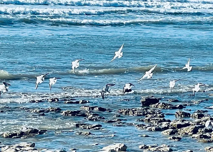 4 Etoiles - 90 M De La Sea And Mountain Pleasure *